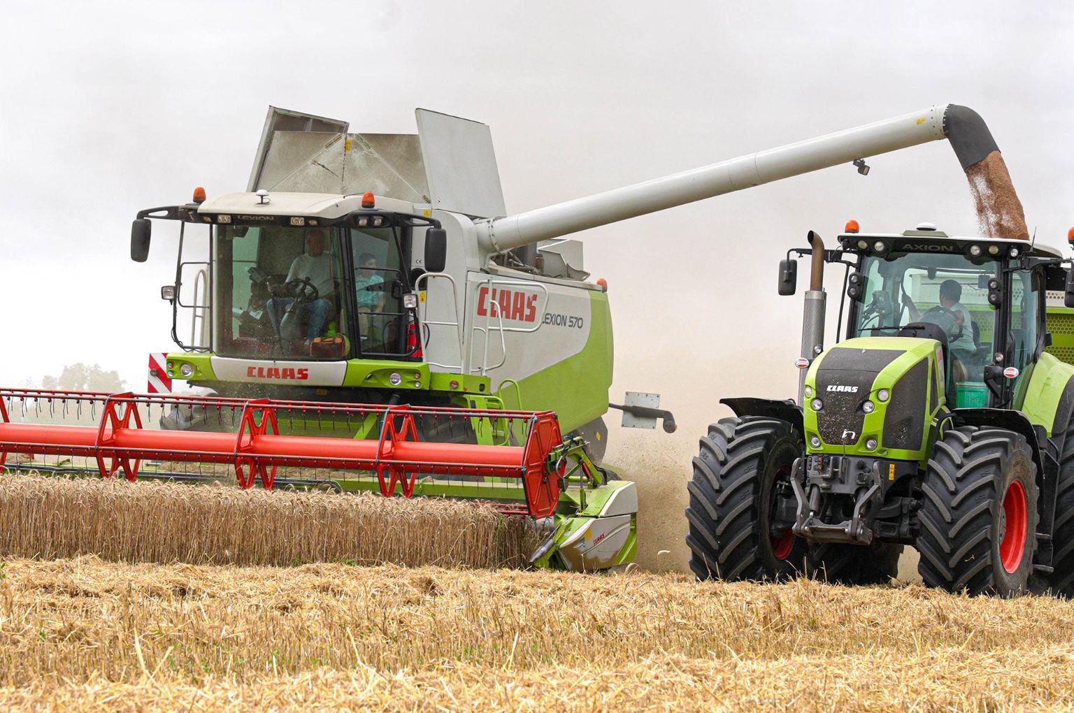 Alliance launches largest VF size