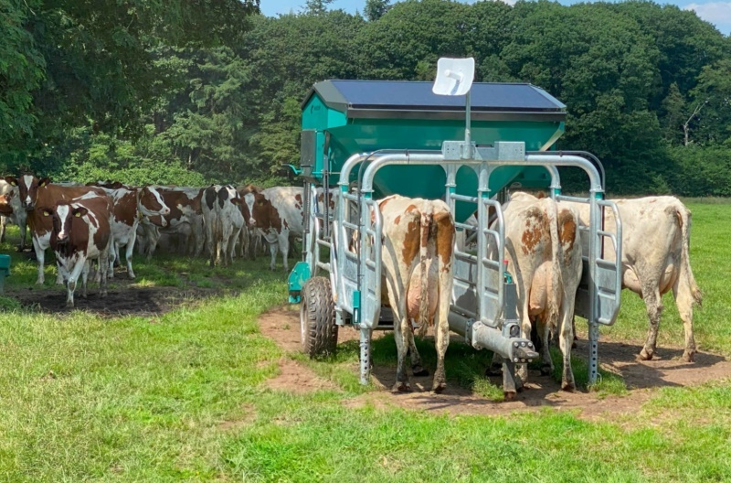 Automatic outdoor feeding system