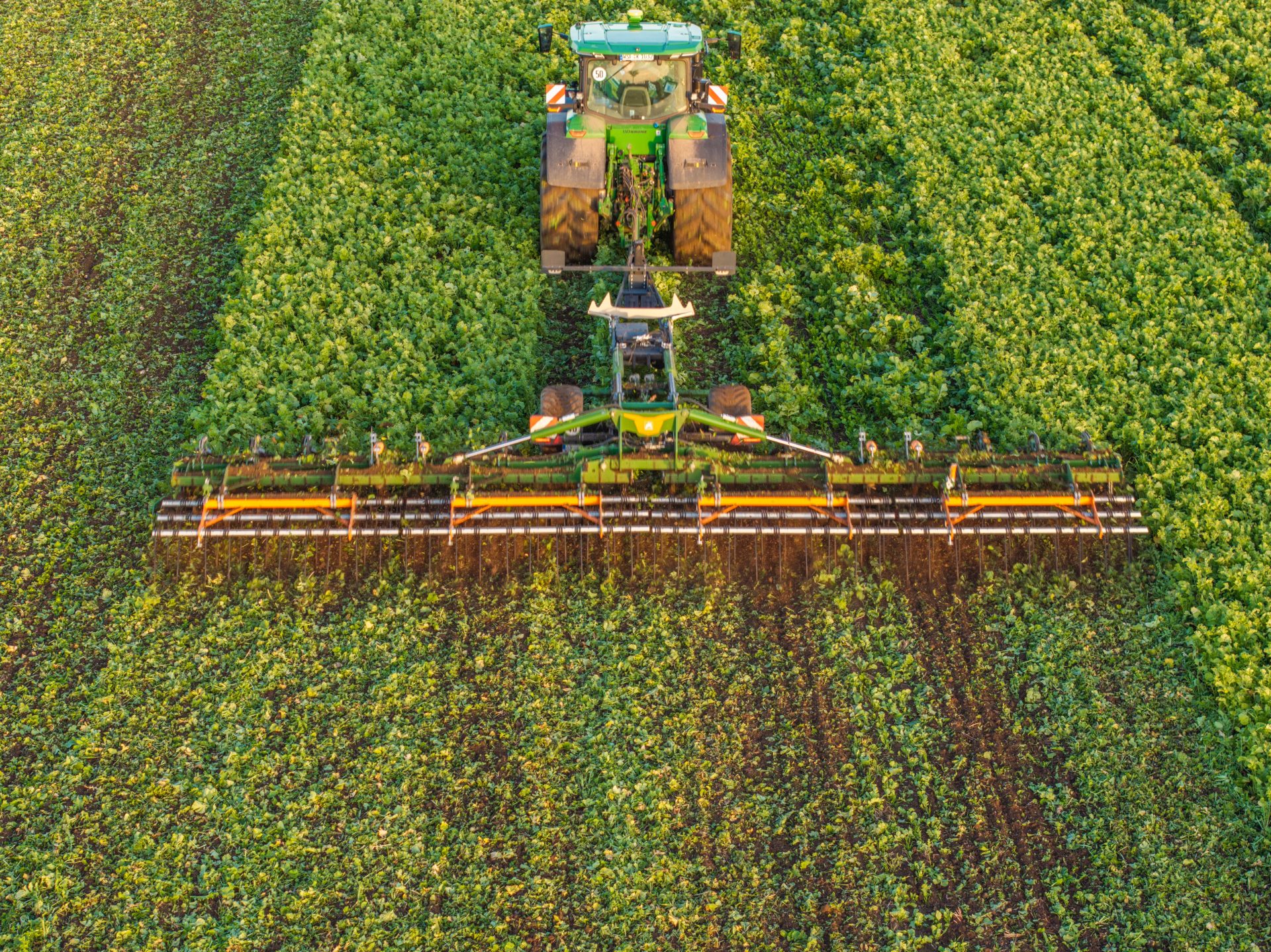 Cereals ’25 preview: Amazone knife roller cultivators