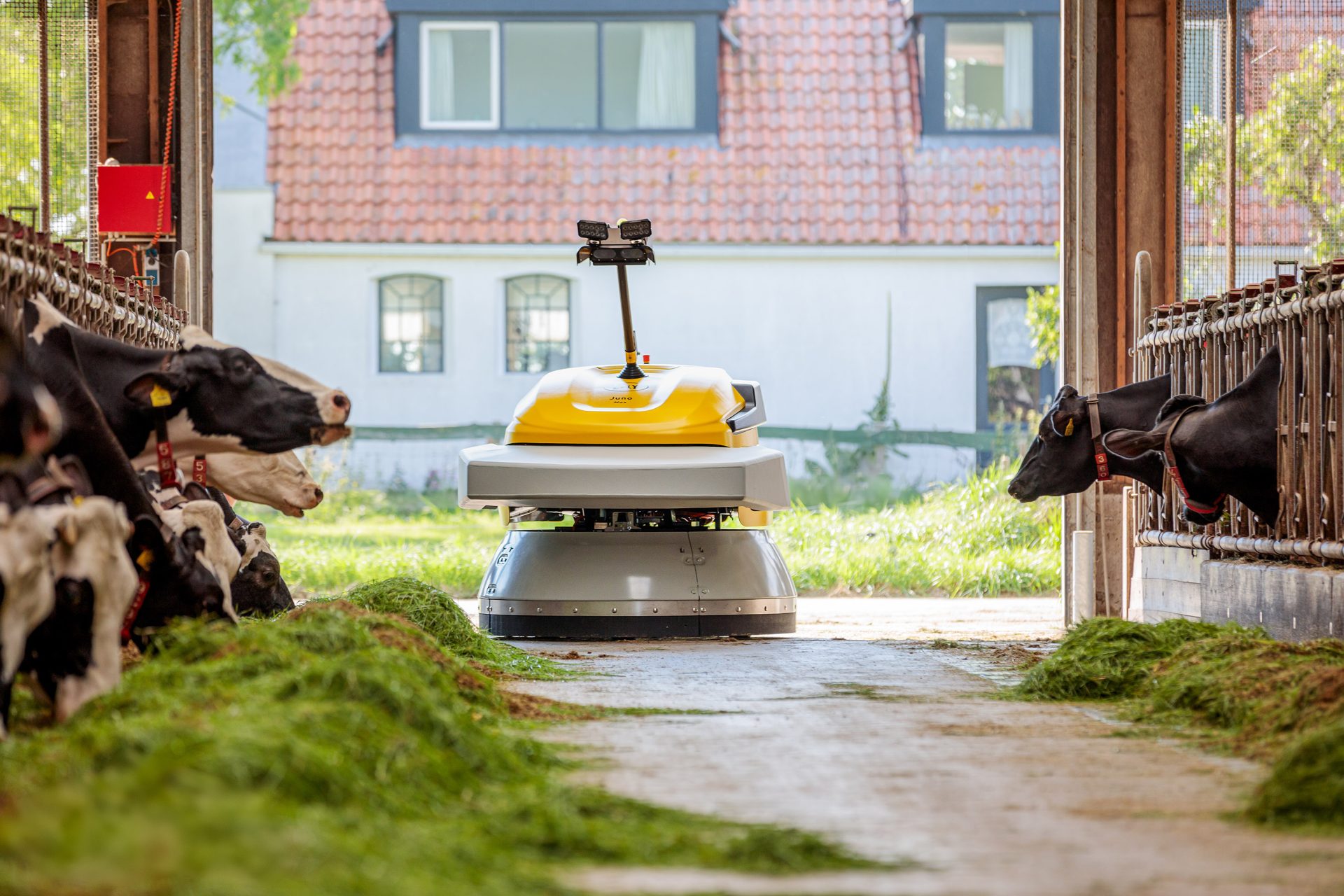 Lely robot for large-scale dairy farms