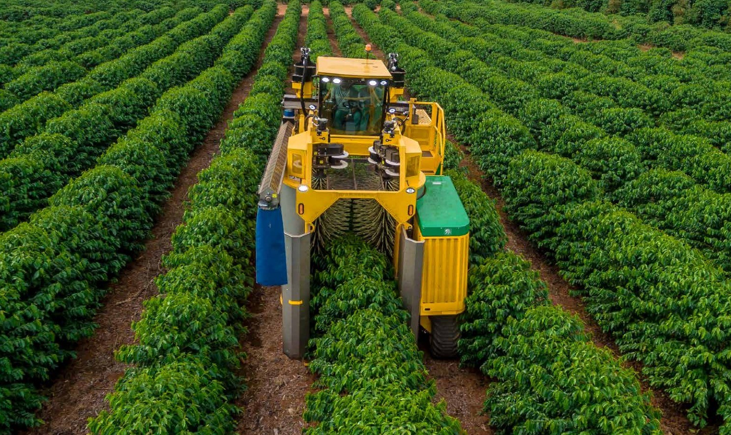 Oxbo updates coffee berry harvester