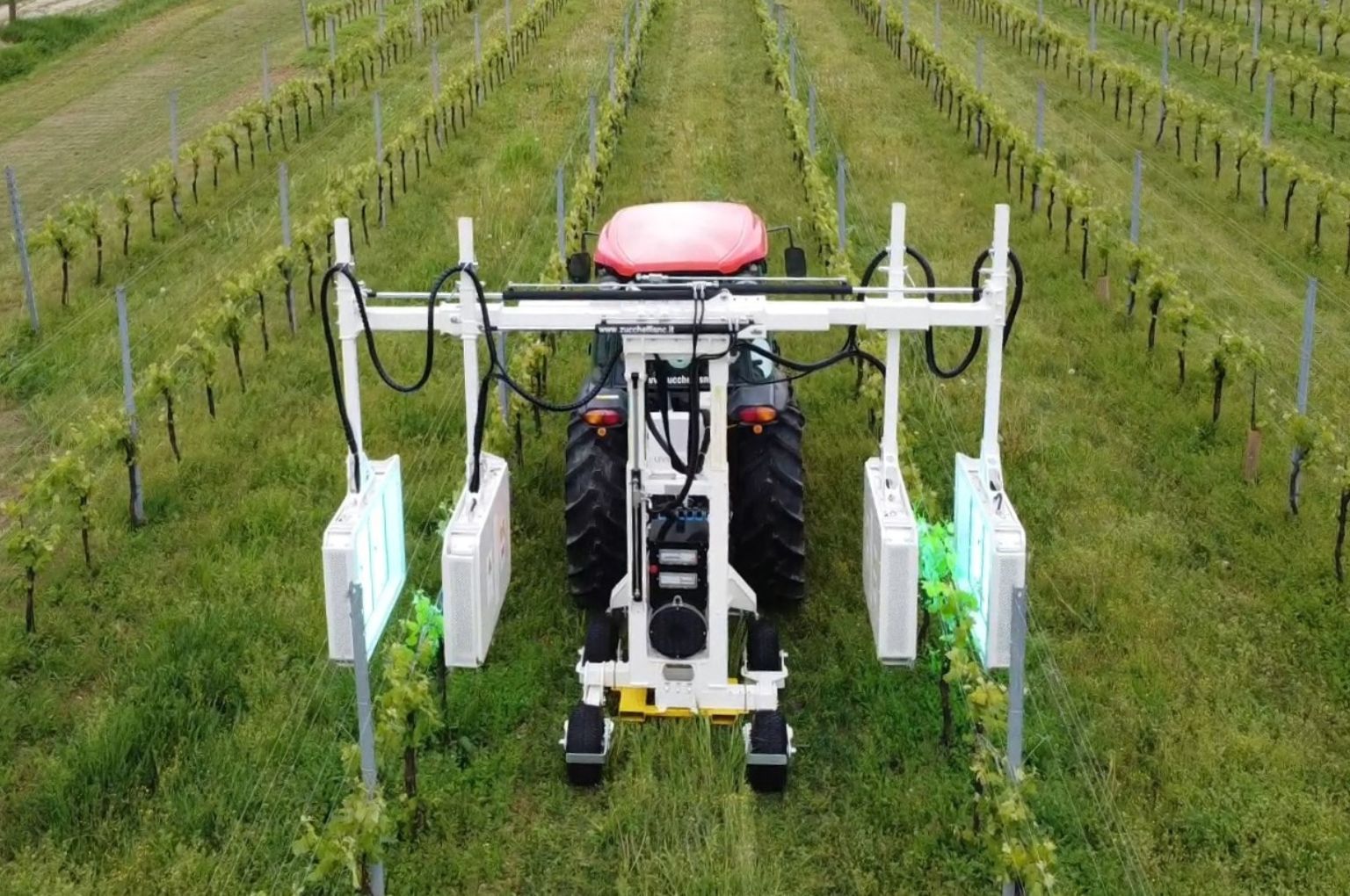UV stimulation in plant care