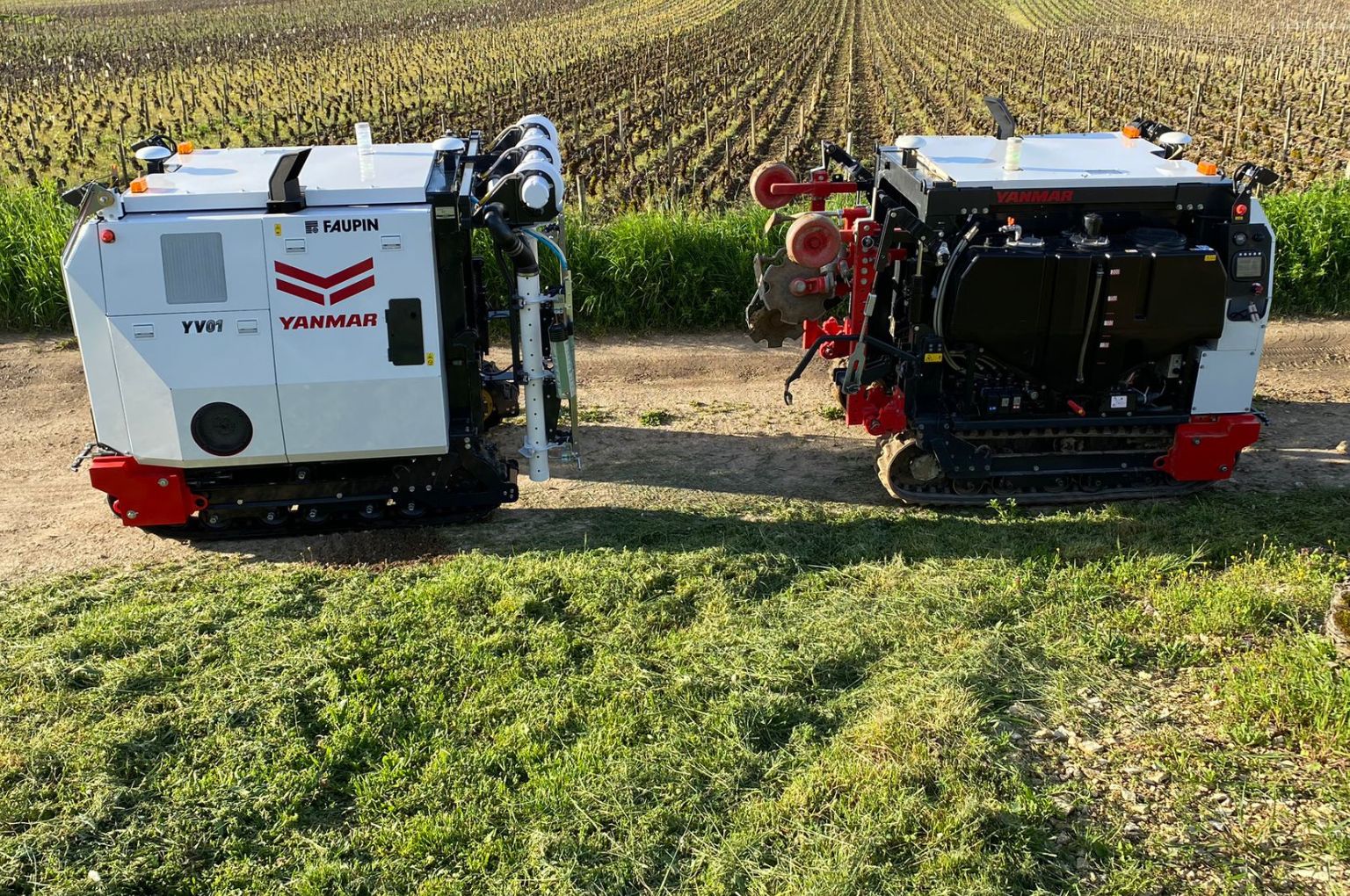 Yanmar and Moët cooperate