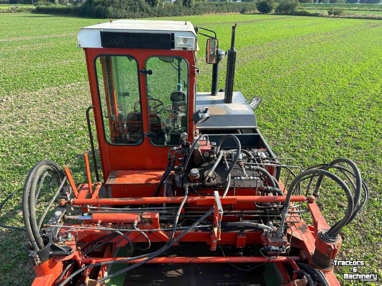 Onion harvester Amac ZM2 raper/lader plantuien