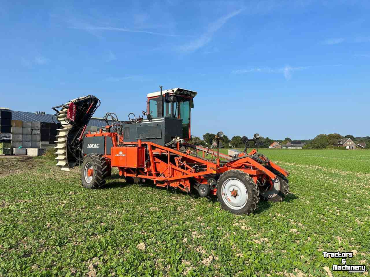 Onion harvester Amac ZM2 raper/lader plantuien