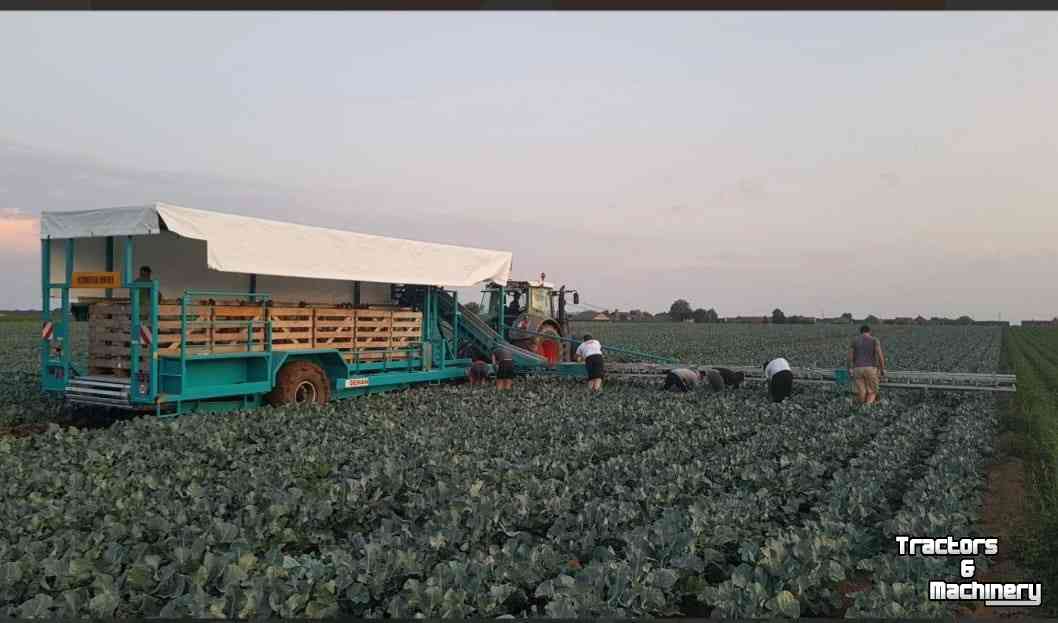 Cabbage harvester Deman Oogstwagen