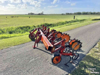 Inter-row cultivator Kongskilde Vibro Beta 4x75 Maisschoffel