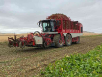 Sugar beet harvester Vervaet Beet Eater BE625 Bietenrooier / Sugar beet harvester / Rübenroder