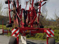 Rake Lely Hibiscus 855 CD