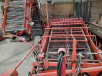 Potato harvester Amac D2 wagenrooier