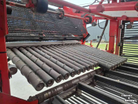 Potato harvester Dewulf Ra3060 agripoppe