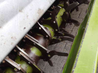Rotary Tiller Baselier FF310