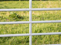 Partition Fences Patura Paneel hek