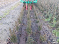 Rootball Lifter GLB Gebruikte Globus/Ezendam kluitensnijder
