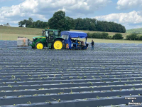Transplanter Lommers Zoeteaardappel plantmachine