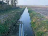 Irrigation pump  Robbemont bootpomp.