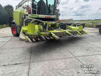 Cornhead Claas ORBIS 600 SD