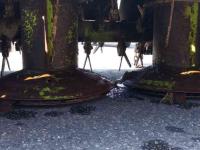 Mower Claas Corto 270 FC frontmaaier met kneuzer