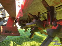 Seed drill  Pennen frees met amazone zaaimachine
