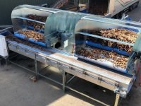 Receiving hopper SWP Machinery Instortbunker | Industrial Receiving Hopper | Stortbak | vVi