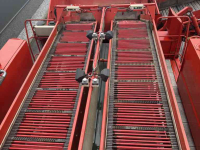 Potato harvester Dewulf Potato4CE