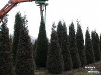 Other tree cultivation equipment and accessories Ezendam Globus 4mtr. heggenschaarmes demo