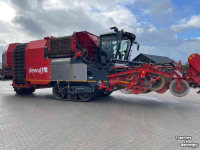 Potato harvester Dewulf Kwatro