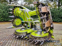 Cornhead Claas Orbis 600 SD